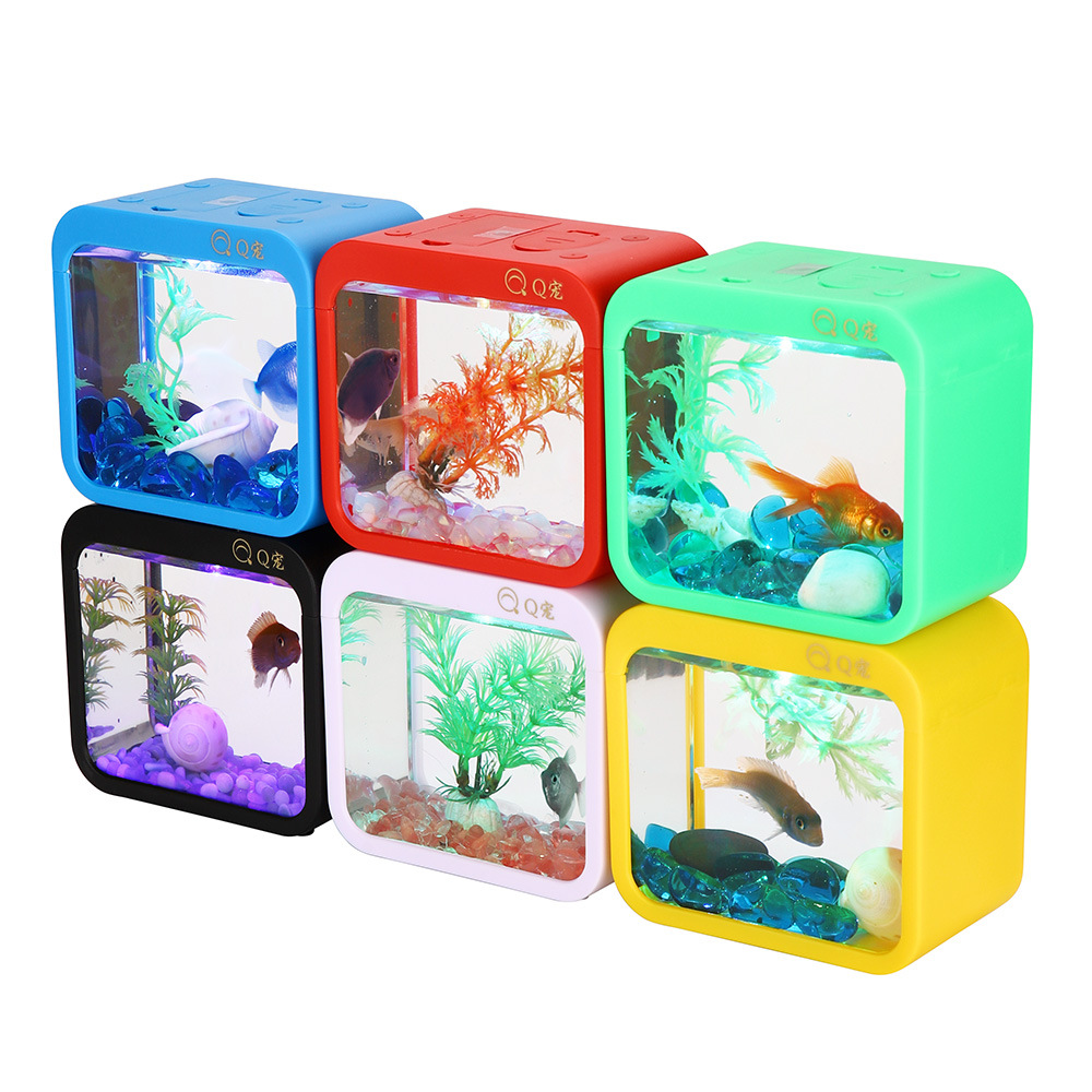 Colorful Creative Betta Box Wi - огляд і ціна Aquarium Goldfish