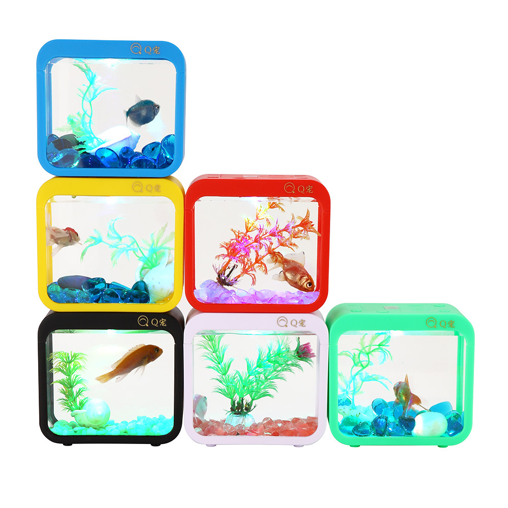 Colorful Creative Betta Box Wi - огляд і ціна Aquarium Goldfish