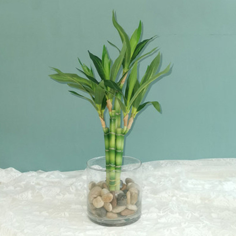 New 40cm Artificial Lucky Bamb - огляд і ціна Aquarium Fish Guppy