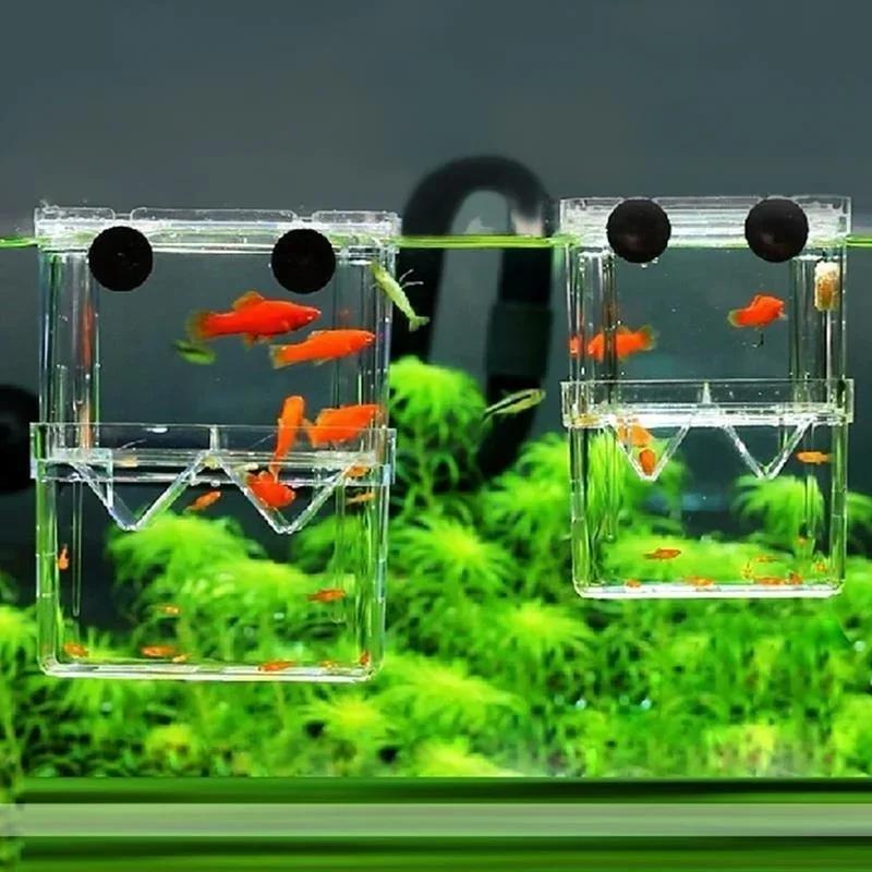 Transparent Fish Aquarium High - огляд і ціна Aquarium Goldfish