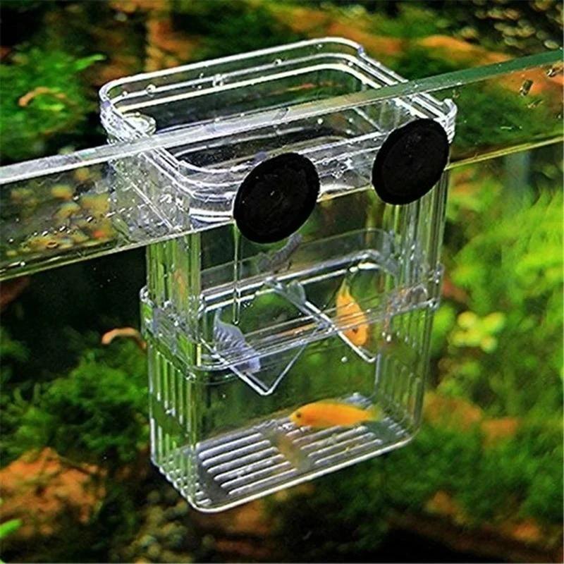 Transparent Fish Aquarium High - огляд і ціна Aquarium Goldfish