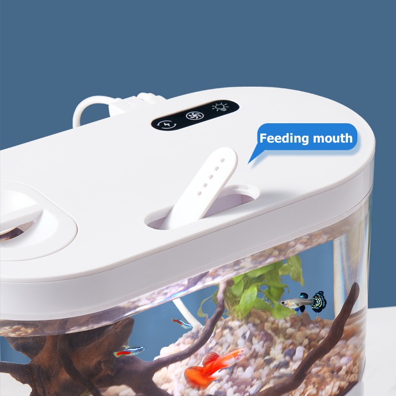 Mini Desktop Aquarium Fish Tan - огляд і ціна Aquarium Goldfish