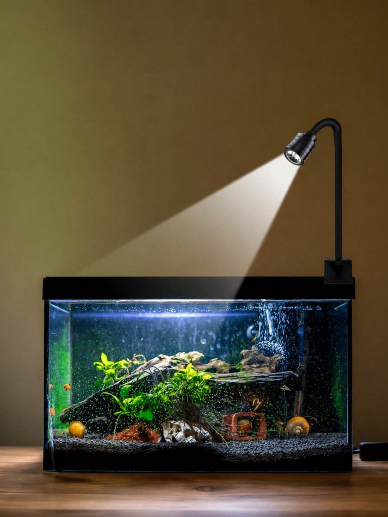 USB aquarium lights, Zoom Sout - огляд і ціна Aquarium Goldfish