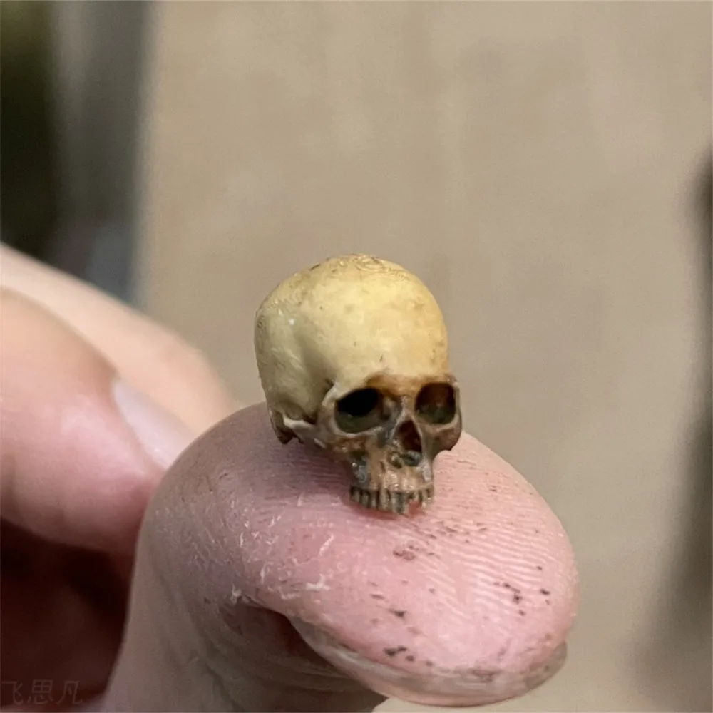 Mini Skull High Quality Miniat - огляд і ціна Aquarium Fish Guppy