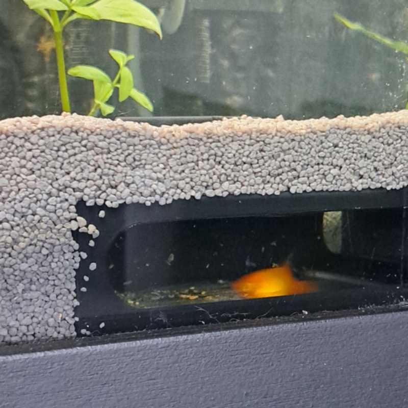 Half circle Aquarium Corner Fi - огляд і ціна Aquarium Fish Paradise